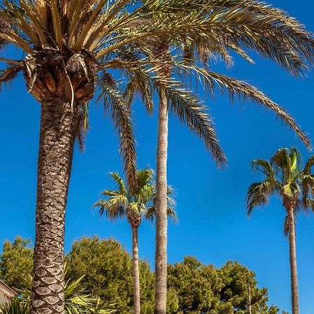 Bonito Apartamento Con Terraza, Jardin Y Piscina カラン・ボッシュ エクステリア 写真